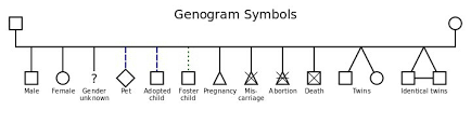 Top 5 Genogram Makers For Mac