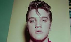 Elvis' close family speak out