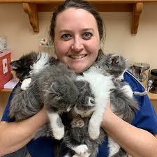 Sara Beth Redding (DVM)