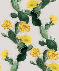 We did not find results for: Alluring Cactus Wallpaper Bold Bright Cacti Design Milton King