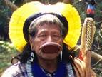 Ocan Indien pdia