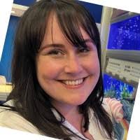 2500+ "The Window" profiles