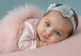 Quitéria Significado Espiritual: Descubra Os Poderes Ocultos De Quitéria