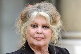 Brigitte Bardot fined for 'inciting racial hatred' 6th time