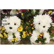 So june was realizing her dream. Dogs Made Out Of Flowers 1 Flowers