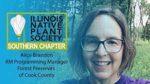 Lauren Benda's Instagram, Twitter & Facebook