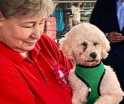 FOAW supporting Lucy's Law at the Senedd today