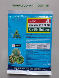 Kin-kin Bul 72WP