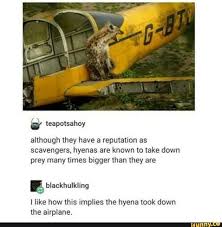 Although They Have A Reputation As Scavengers Hyenas Are Known To Take Down Prey Many Times Bigger Than They Are Implies Hyena The Airplane Ifunny Memes Funny Memes Funny