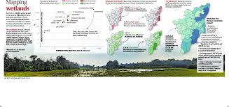 Image View Map Image Wetland