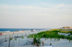 We did not find results for: Island Beach State Park New Jersey 2021 All You Need To Know Before You Go With Photos Tripadvisor