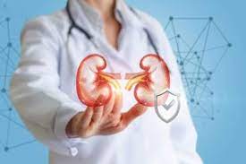 A role for collecting duct epithelial cells in renal hormonal control of the renal immune response and antibacterial host defense by arginine. Renal Disorders In Women Causes And Preventions Narayana Health