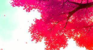Maybe you would like to learn more about one of these? Red Anime Wallpaper Gif Novocom Top