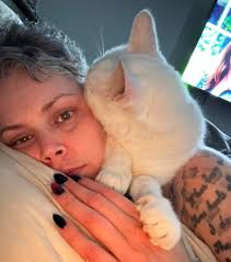 Quint has misplaced his ears, but as compensation, he would like to show  you his lil teefs