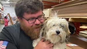 Some havanese will need less, while others have been known to eat up to 2 cups per day. Lucy 6 Month Old Havanese Havanese Boot Camp Macon Georgia Youtube