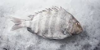Resultado de imagen para facil rapido barato exquisito delicioso sabroso