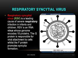Respiratory syncytial virus (rsv) is a serious cause of respiratory infection that can affect people of all ages. Respiratory Syncytial Virus