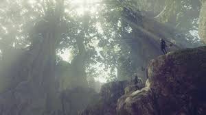 The great collection of nier wallpaper for desktop, laptop and mobiles. Nier Automata Forest Kingdom Automata Nier Automata Wallpaper