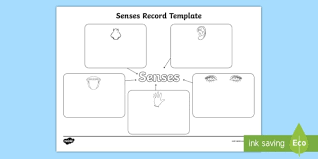 Senses Record Template Senses Record Senses Record