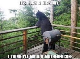 Pin By Pat Noon On Twisted Humor Funny Bears Funny Animals Animals