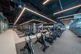 Wellfit | World-class Gyms in Dubai and Sharjah for individuals and families