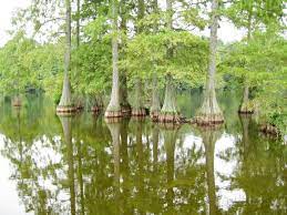 11 Amazing Places In Delaware That Are A Photo Taking Paradise American Road Trip East Coast Road Trip Camping Locations