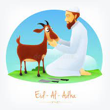Maybe you would like to learn more about one of these? Eid Al Adha Celebration Butcher Goat Stock Illustrations 19 Eid Al Adha Celebration Butcher Goat Stock Illustrations Vectors Clipart Dreamstime