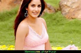 صور كاترينا كيف Katrina Kaif 6 Beauty Routine Tips Katrina Kaif Wallpapers Katrina Kaif Bikini