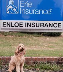 Maybe you would like to learn more about one of these? Meet Our Team Enloe Insurance Agency