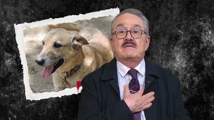 Pedro Sola enfrenta nuevas denuncias por maltrato animal contra Pay de Limón  | Xpectro