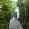 Castaways rv park big pine key florida. Big Pine Key Rv Parks Reviews And Photos Rvparking Com