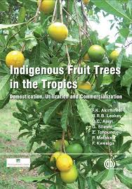 Of all the fruit trees pictures, you will find fig tree comparatively bigger in size. Indigenous Fruit Trees In The Tropics Cabi Org
