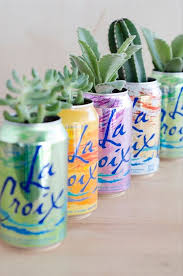 How to grow a cactus. Soda Can Planters The Irresistible Power Of Recycling Balcony Decoration Eco Friendly Garden Ideas
