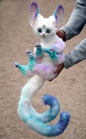 One And A Half Ice Cream Cats In 2021 Cute Fantasy Creatures Animal Dolls Cute Baby Animals