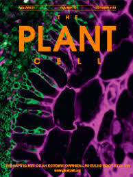 We did not find results for: English Language Editing Services For American Society Of Plant Biologists Aspb Journals Charlesworth Author Services