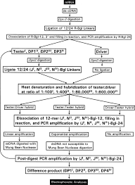 gene expression and identification of gene therapy targets