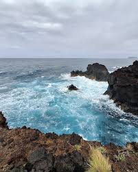 Image result for Ferraria