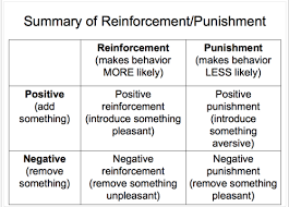 Psychology 101 Chapter 7 Learning Flashcards Quizlet