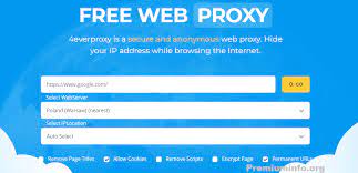 You can also help by creating your own proxy site. Top 100 Best Free Proxy Servers List 2021 Free Proxy Sites Premiuminfo