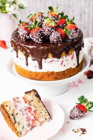 Erdbeer Stracciatella Torte Mit Schoko Erdbeeren Mein Naschgluck Rezept Leckere Torten Kuchen Und Torten Rezepte Stracciatella Kuchen