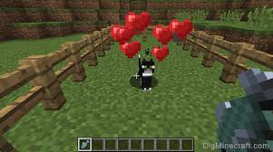 How To Tame An Ocelot In Minecraft And More Tutorials Minecraft Ocelot Minecraft Tutorial