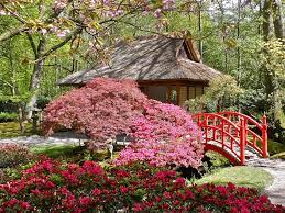 The Japanese Garden Of The Hague Japanese Garden Small Backyard Gardens Backyard House