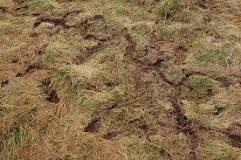 Image result