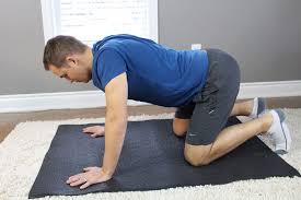 Find more from kinetic here: Therapia Cat Cow Back Stretches