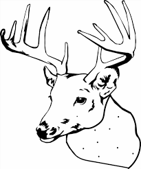 Advanced animal coloring pages coloring pages printable com. Deer Coloring Pictures Novocom Top