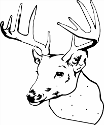 In reality, this idea to paint over a drawing is not much harder than to color pages with markers. Deer Coloring Pictures Novocom Top
