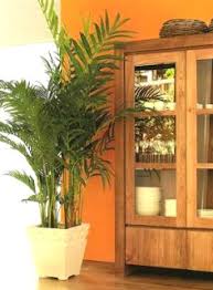 Descubre la mejor forma de comprar online. Decorar Con Plantas Artificiales Decorar Hogar