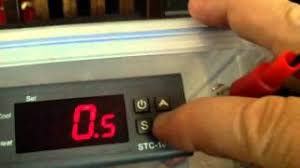 Go to google and search for: Wiring A Stc 1000 Temperature Control To Your Incubator