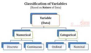 Numeric Vs Categoric Data Statistical Data What Is Data Secondary Data