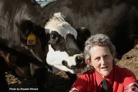 Temple grandin's most popular book is thinking in pictures: Temple Grandin To Speak At Mit Mit News Massachusetts Institute Of Technology